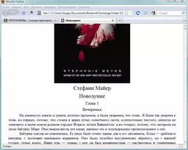 FB2 Reader для Windows 8